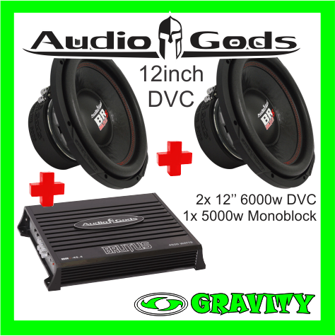 audio-gods-12inch-combo--amplifier--2x-12inch-dvc-subs